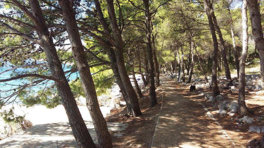 Mustac